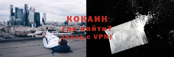 крисы Надым