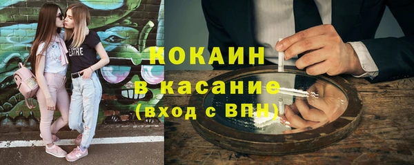 крисы Надым
