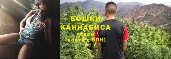 крисы Надым