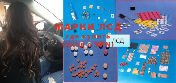 крисы Надым