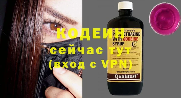 крисы Надым