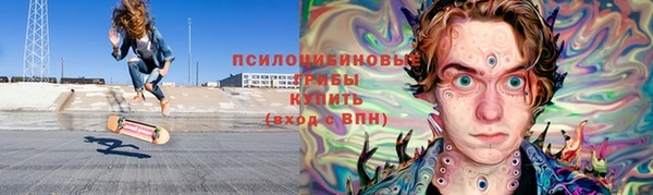 ГАЛЛЮЦИНОГЕННЫЕ ГРИБЫ Навашино